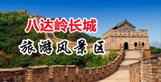 操逼网址免费进入中国北京-八达岭长城旅游风景区